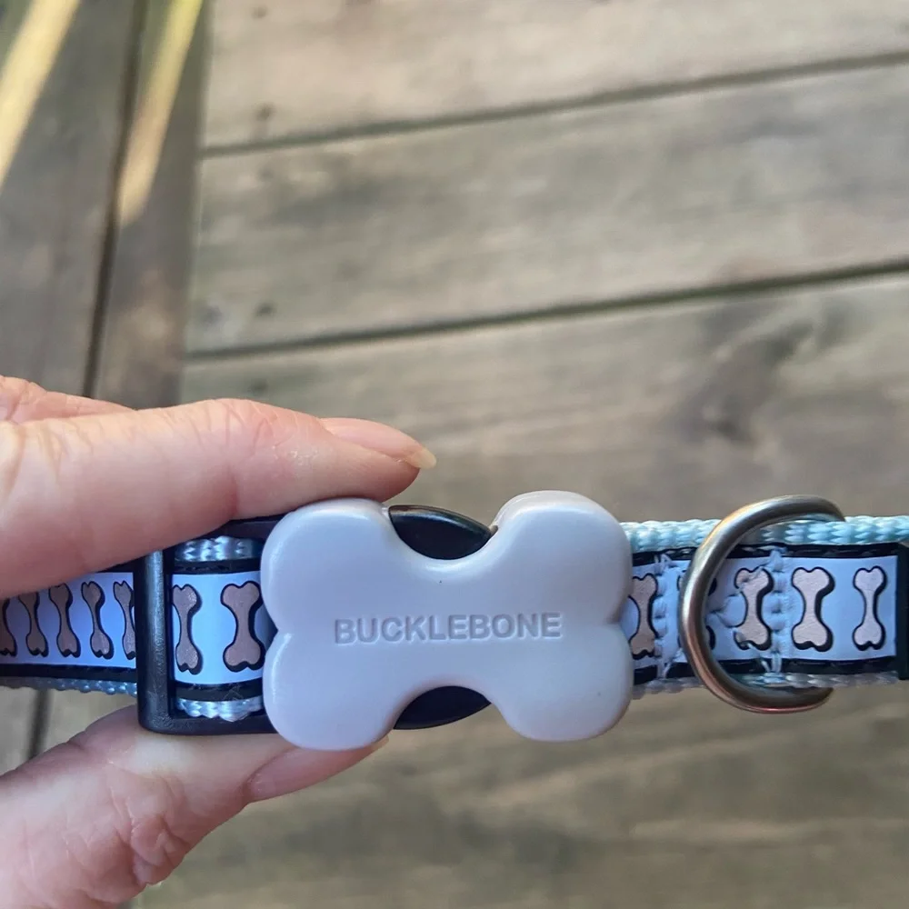 NWT Red Dingo Reflective Dog Collar